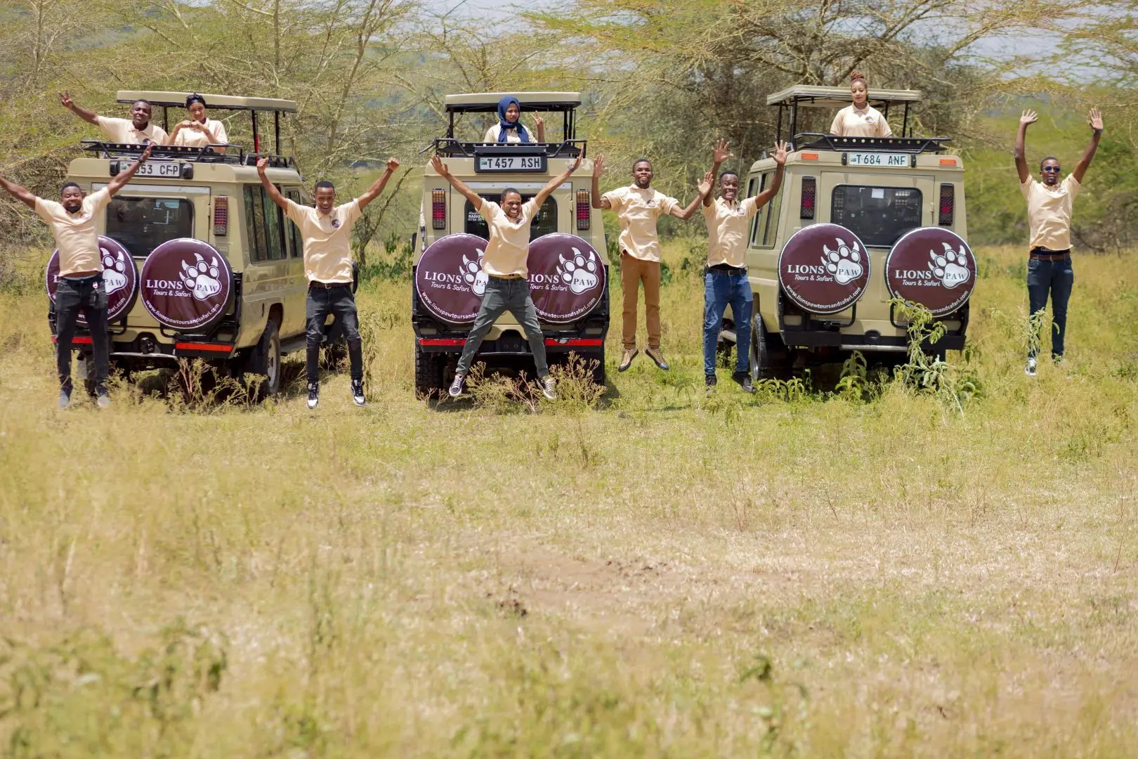 Tarangire Elephants