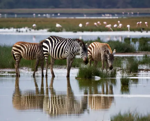 Serengeti National Park