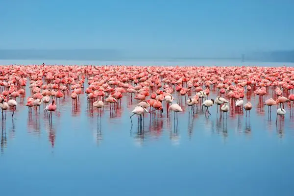 Tarangire National Park