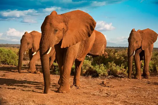 Serengeti National Park