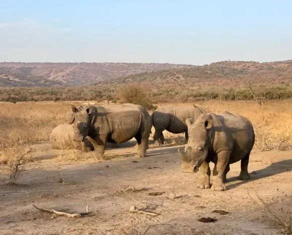 Tarangire National Park