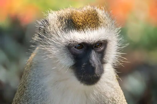 Serengeti National Park