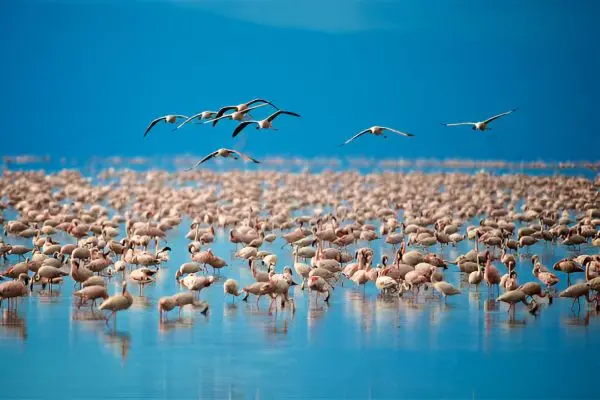 Serengeti National Park