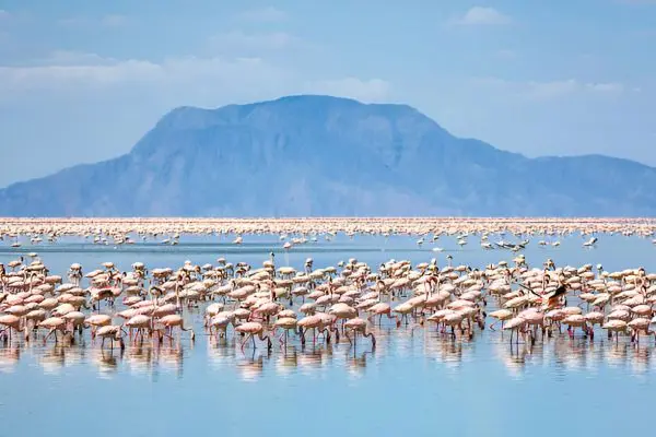Serengeti National Park