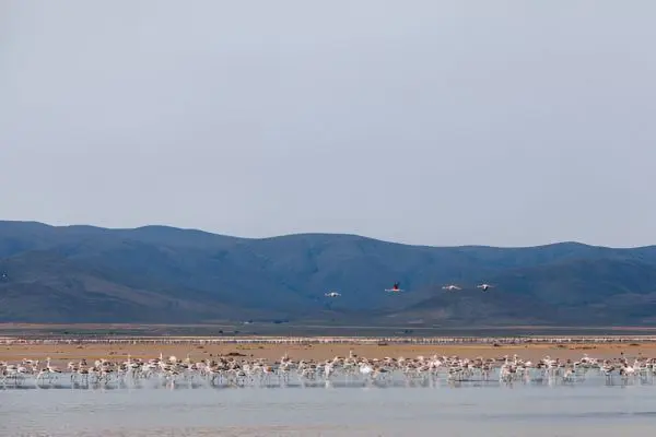 Tarangire National Park
