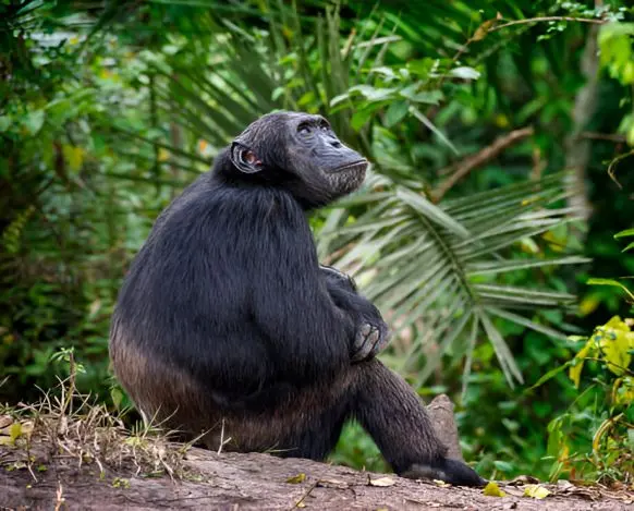 Tanzania & Zanzibar
